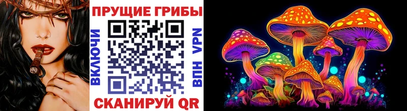 нарко площадка какой сайт  Бийск  Галлюциногенные грибы Cubensis 