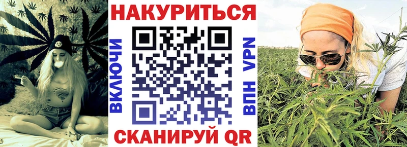 закладка  Бийск  Бошки Шишки ГИДРОПОН 